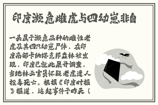 坐在学霸的鸡上背单词图片